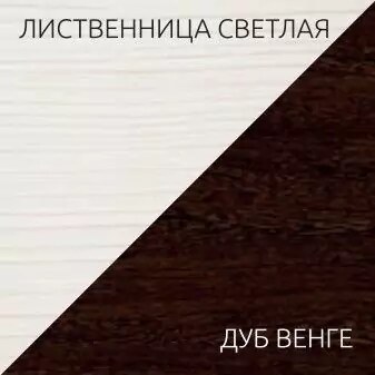 Шкаф-купе Николь 3, Коричневый