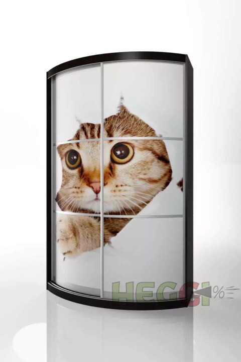 Радиусный шкаф-купе Мебелеф-3, Коричневый