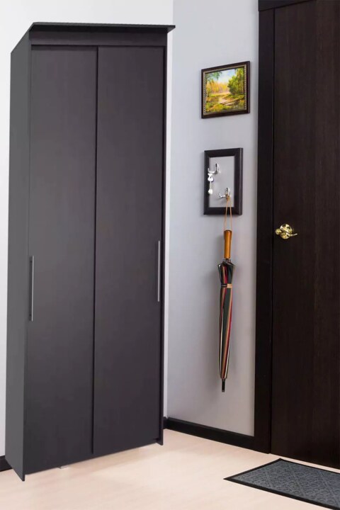 Шкаф-купе Эконом Миллениум 884х2400х573, Коричневый