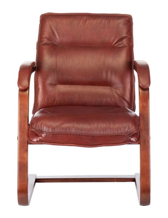 Кресло Бюрократ T-9927 Walnut-AV, Коричневый